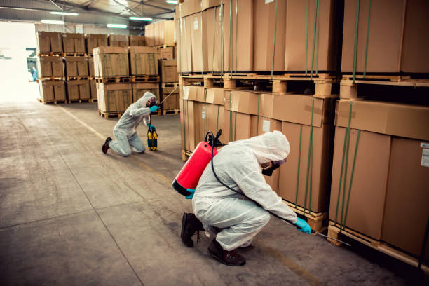 Best Pest Removal Services  in Lake Jackson, TX