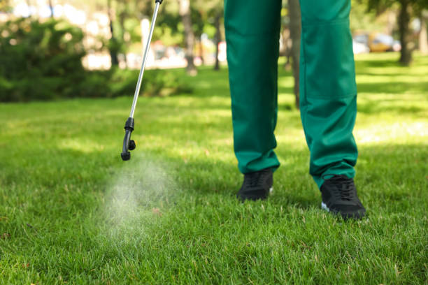 Reliable Lake Jackson, TX Pest Control Solutions