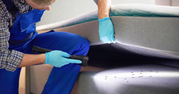 Best Pest Control Near Me  in Lake Jackson, TX