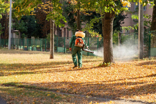 Best Pest Removal Services  in Lake Jackson, TX
