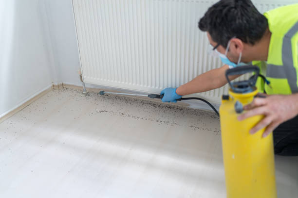 Best Affordable Pest Control Services  in Lake Jackson, TX